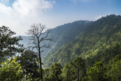 Scenic view of mountains against sky during foggy weather