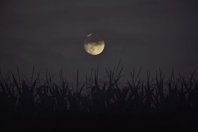 Low angle view of moon against sky at night