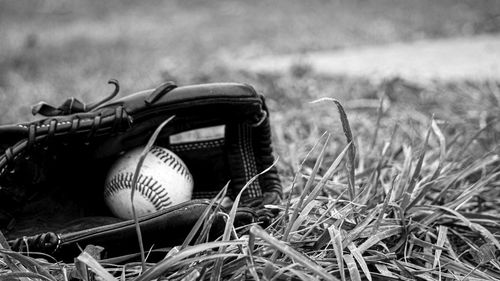 Close-up of baseball on grassy field