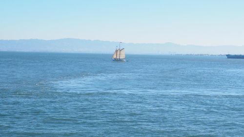 Sailboat sailing on sea against clear sky