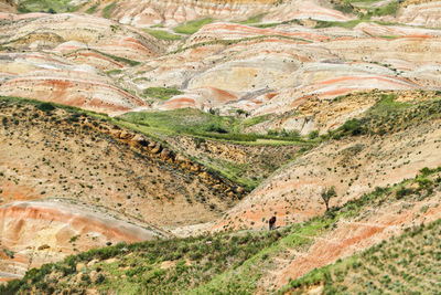 Scenic view of rural landscape