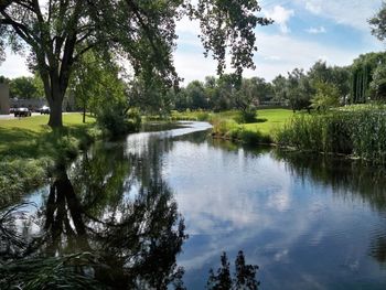 Reflection of trees in lake