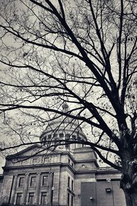 Low angle view of bare trees against the sky