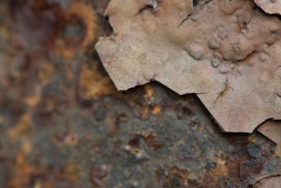 Full frame shot of old weathered wall