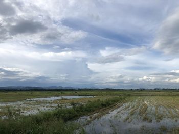 Scenic view of field against sky