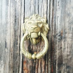 Close-up of wooden door