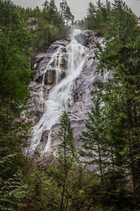 Waterfall in forest