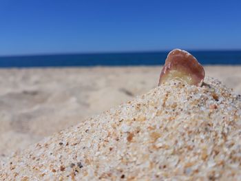 Close-up of rocks on beach against clear sky