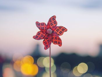 Close-up of red flower against blurred background