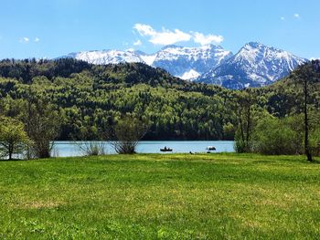 Scenic view of green landscape against blue sky