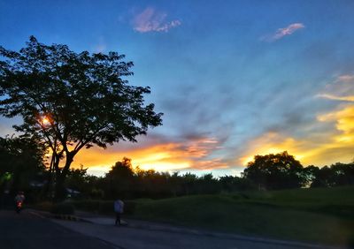 Silhouette trees by road against sky during sunset