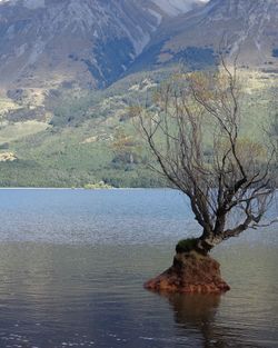 Scenic view of lake by mountains