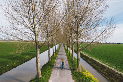 Rear view of person walking on footpath amidst bare trees