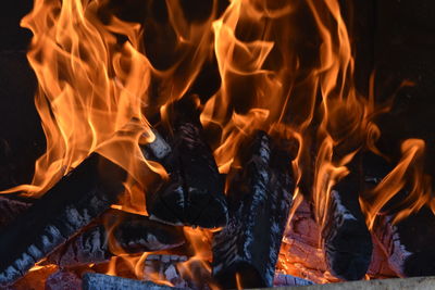 Close-up of bonfire at night