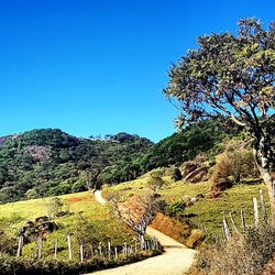 Scenic view of landscape against clear blue sky