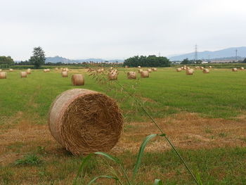 Hay bales on field against sky