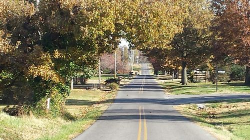 Road passing through forest