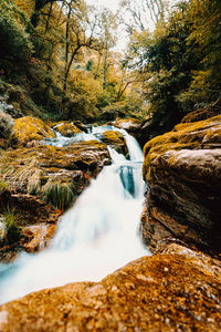 Stream flowing through rocks in forest