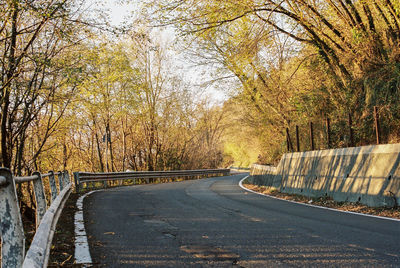 Road passing through forest