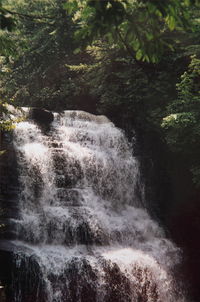 Waterfall in forest