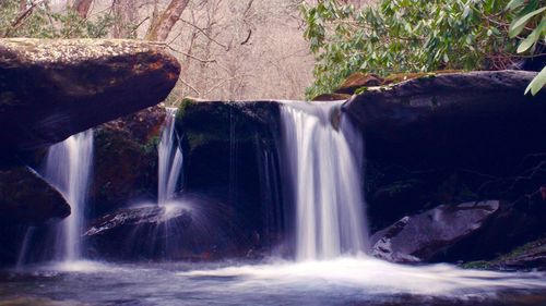 Scenic view of waterfall in forest