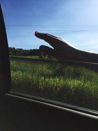 Scenic view of field against clear sky