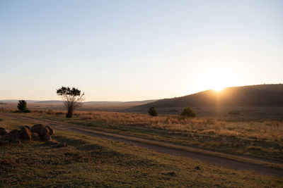 Scenic view of field against sky during sunset