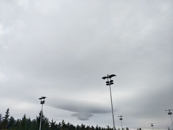 Low angle view of weather vane against sky