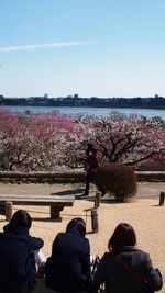 Rear view of man sitting on bench