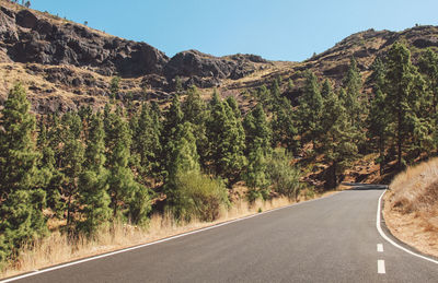 Road amidst trees against clear sky