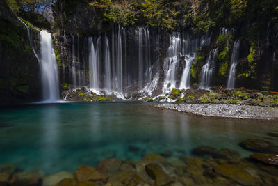 Scenic view of waterfall in forest