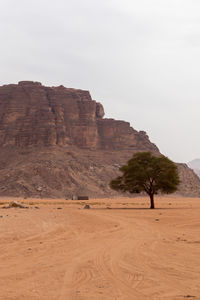 Rock formations in desert against sky