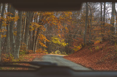 Road amidst trees in forest during autumn