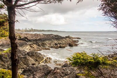 Scenic view of calm sea against sky