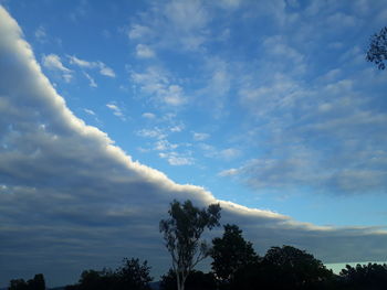 Low angle view of trees against sky