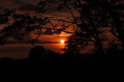 Silhouette trees against orange sky