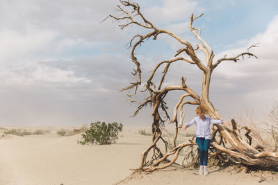 Woman sitting on bare tree at beach against sky 