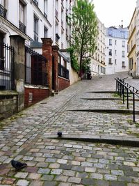 Cobblestone street in city