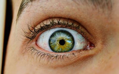 Extreme close up of human eye