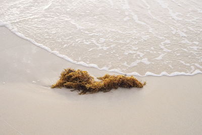 High angle view of sand on beach
