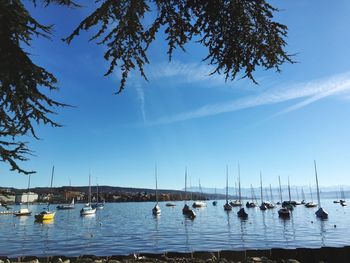 Boats in sea