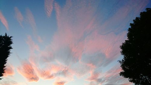 Low angle view of silhouette trees against sky at sunset