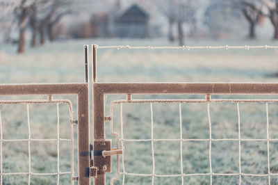 Close-up of metal fence against built structure