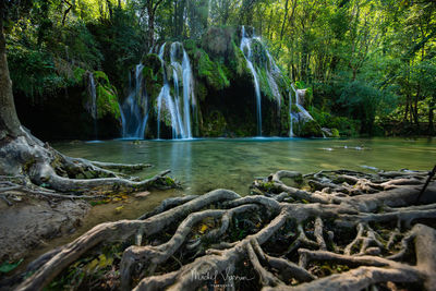 Scenic view of waterfall in forest