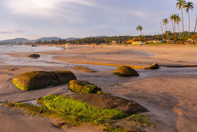 Scenic view of beach against sky during sunset