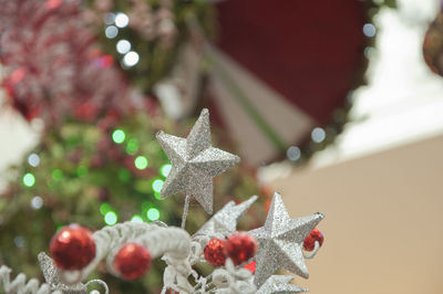 Close-up of christmas tree