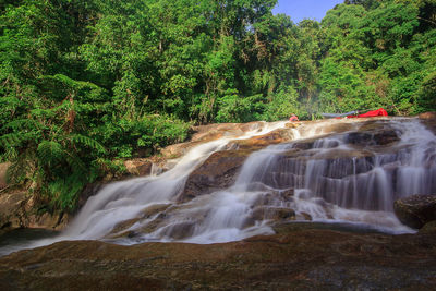 Scenic view of waterfall in forest