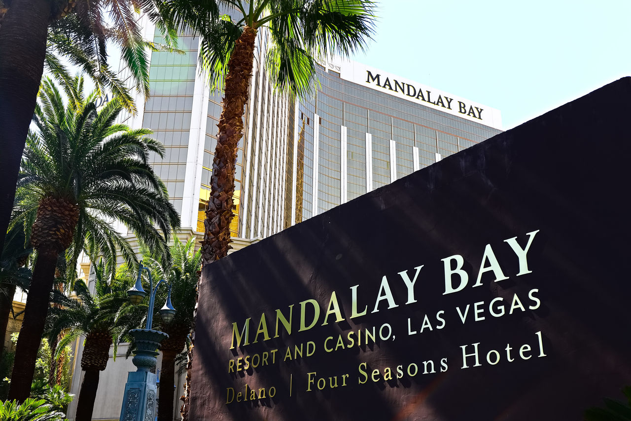 LOW ANGLE VIEW OF INFORMATION SIGN BY PALM TREES AND PLANTS