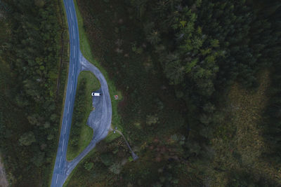 High angle view of plants growing on land