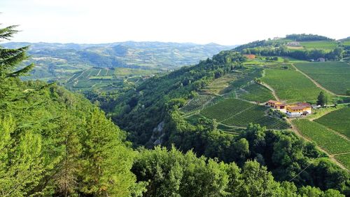 High angle view of agricultural field